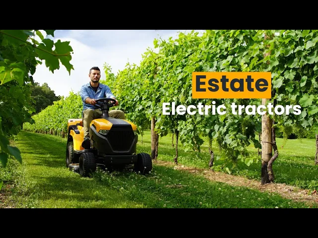 Estate 584e (3)